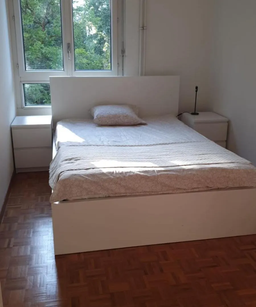 Apparemment Geneve Apartment  Geneva